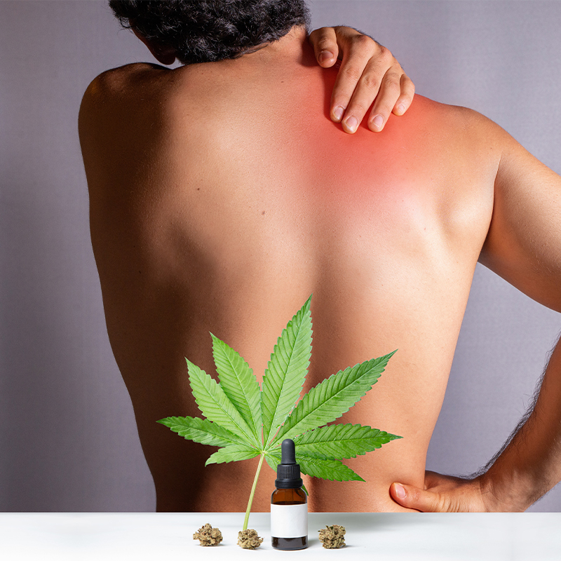 cbd for pain