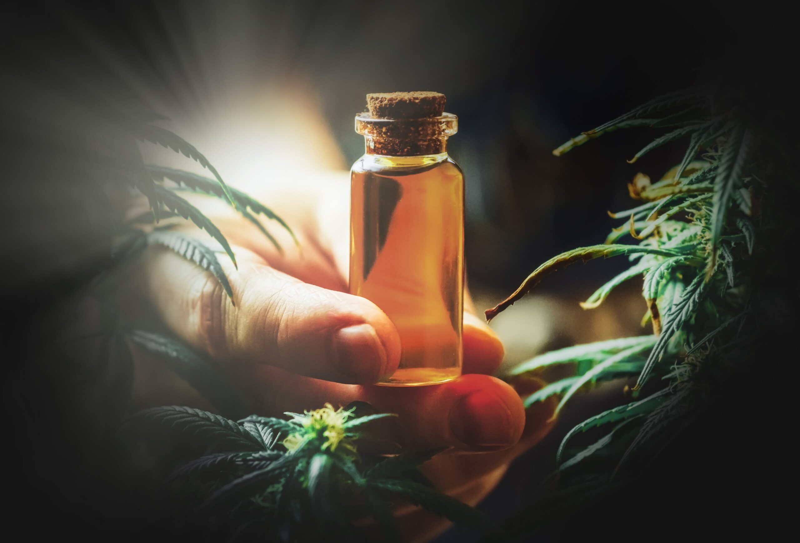 Can CBD Oil Make You Hallucinate? Science-Based Facts You Need to Know