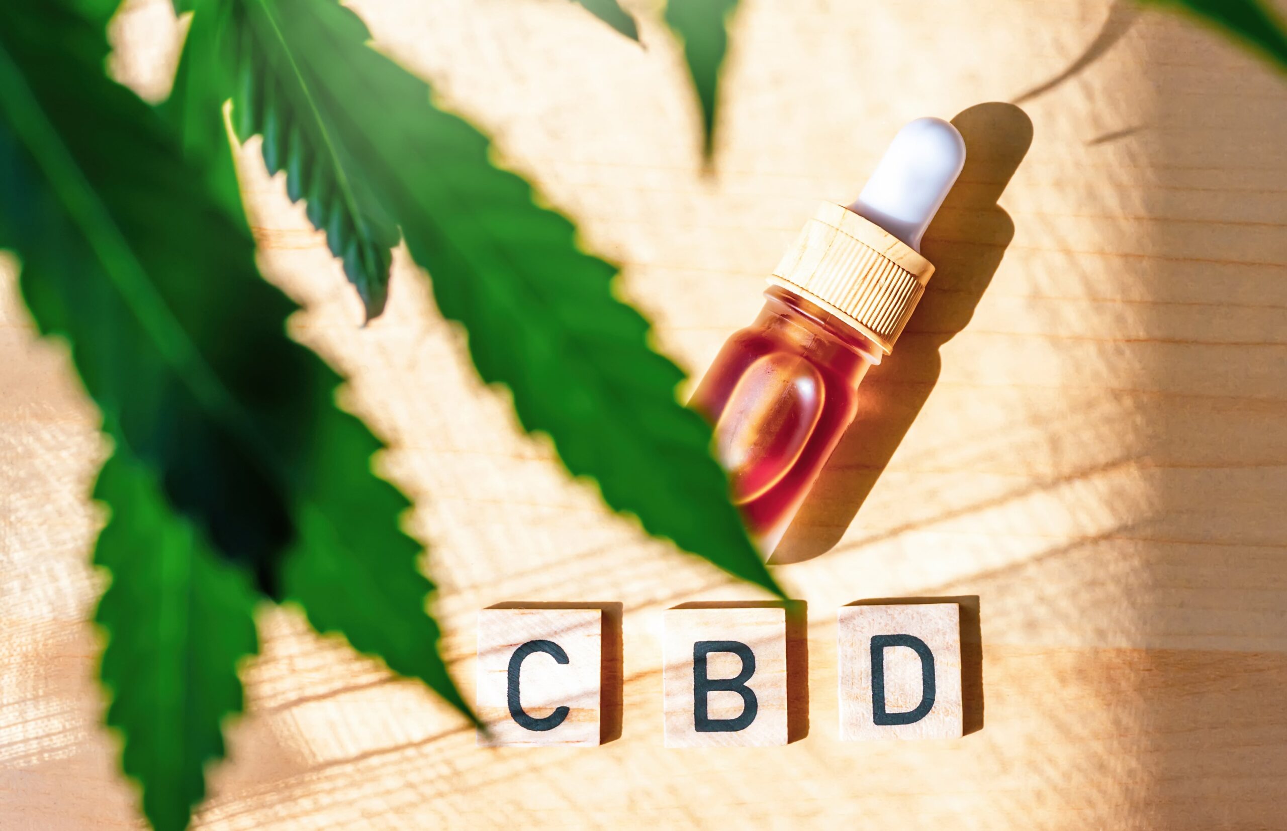 How Much CBD Should a Beginner Start With? Complete Guide for First-Time Users