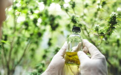 Hemp-Derived CBD for Inflammation Relief