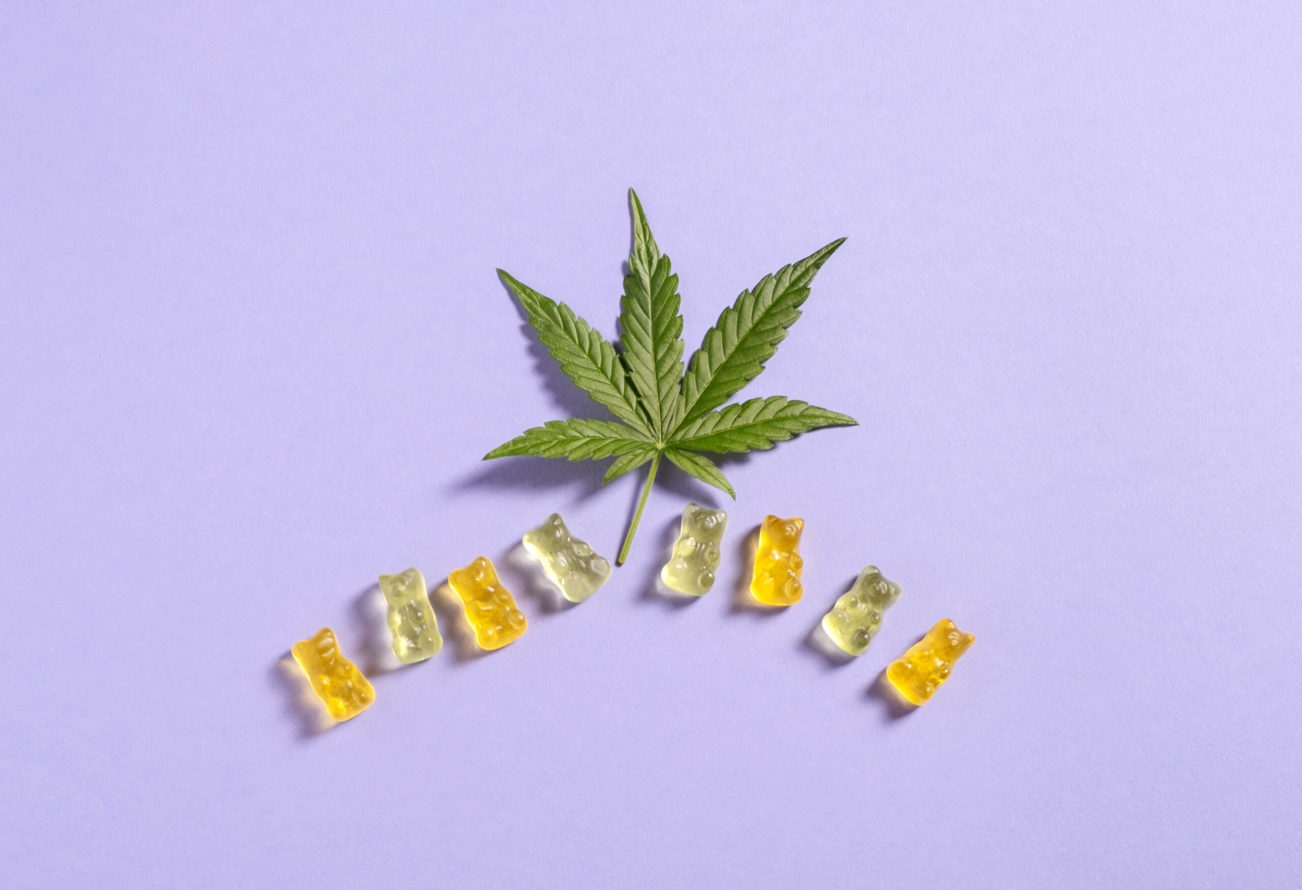 Finding the Strongest Gummy Weed: A Complete Guide