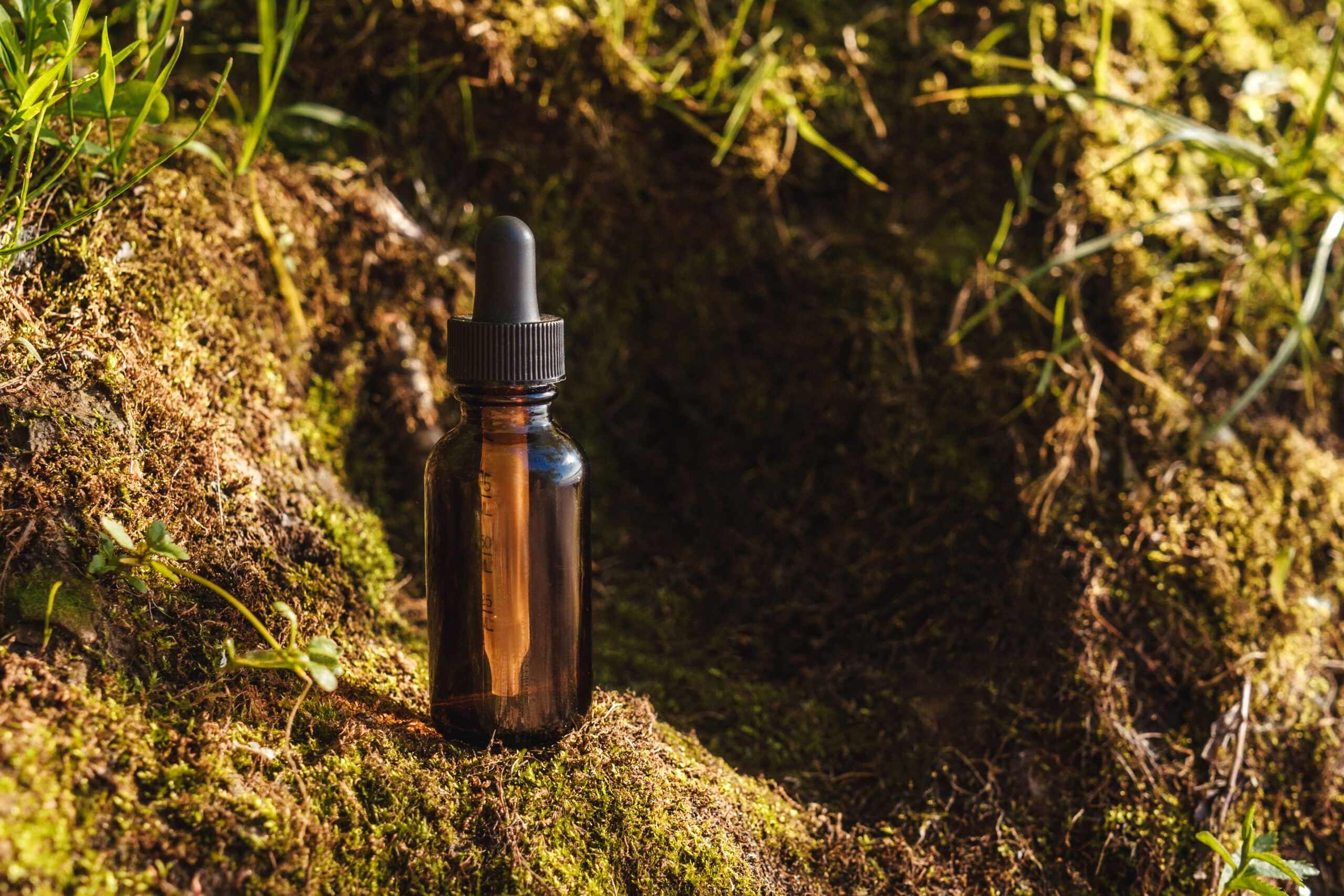 Best Full Spectrum CBD Oil for Natural Wellness