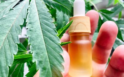Best Full Spectrum CBD Oil for Natural Wellness