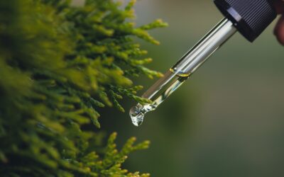 Pure THC Oil: Dangers & How to Avoid Fake Products