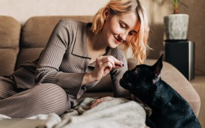 Safe CBD Products for Dogs and Cats
