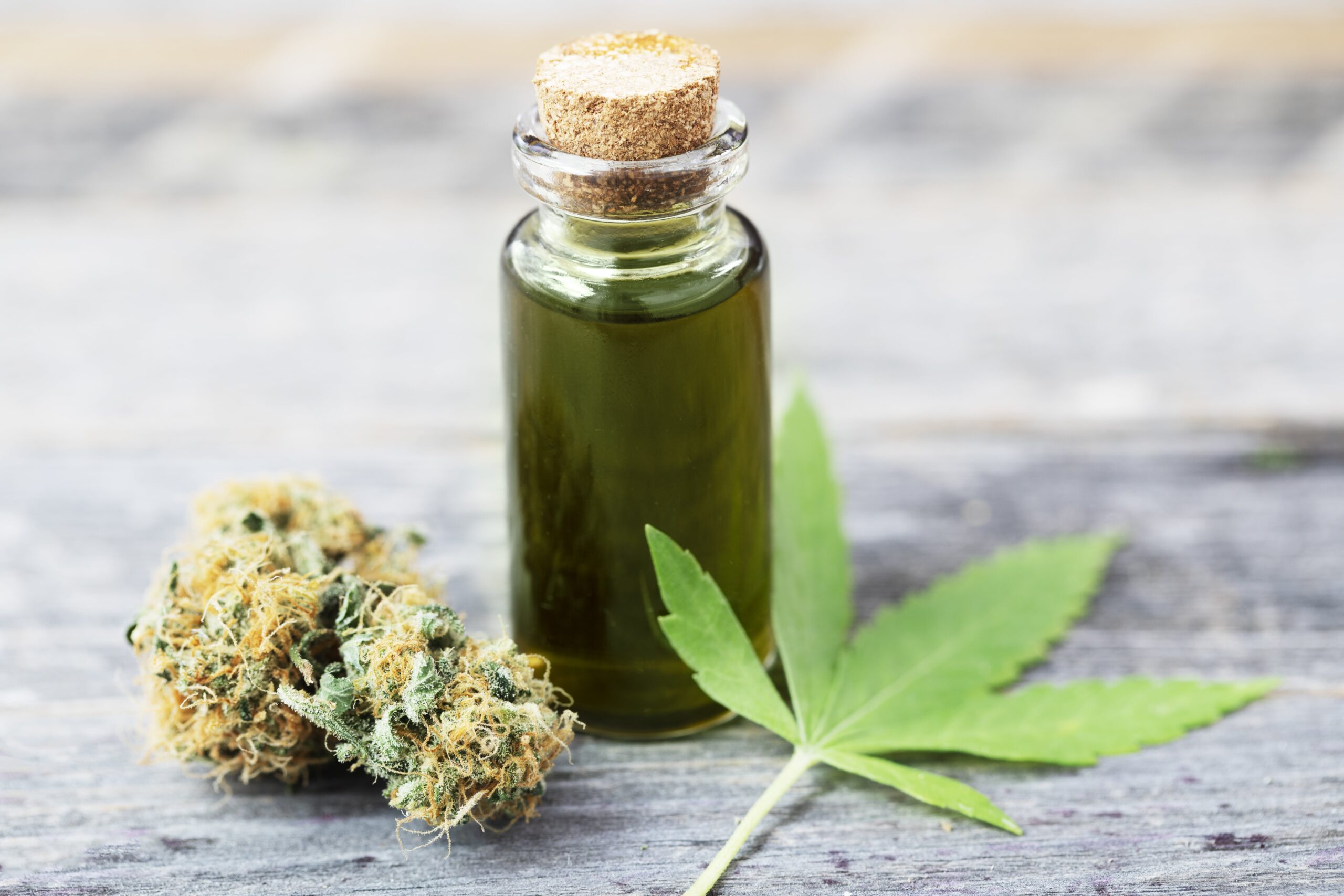 Where Can I Buy Cannabis Oil? Your Complete Guide to Safe, Legal Purchases