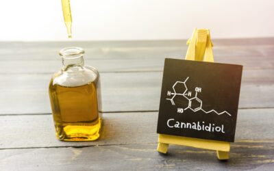 Cannabidiol Oil for Sale: Premium Quality Guide