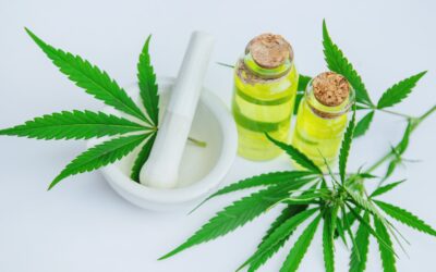 CBD for Multiple Sclerosis Relief – How CBD Helps MS Symptoms