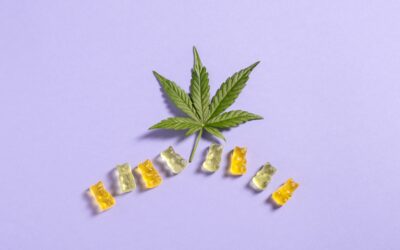 CBD THC Gummies for Energy: Morning Focus and Productivity