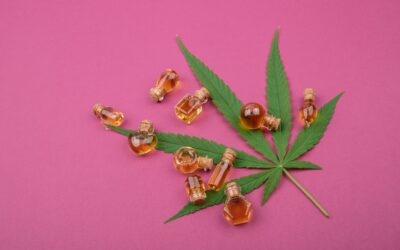 CBD Gummies Wholesale: Building Profitable Retail Partnerships
