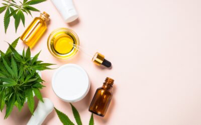 How to Choose the Best CBD Brand for Your Wellness