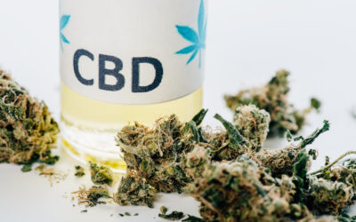 What Is CBD Oil Good For: Natural Health and Pain Relief