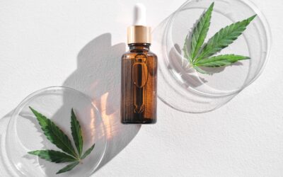 Explore CBD Types: Isolate, Broad, and Full Spectrum