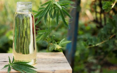 Finding the Best CBD for Elderly Wellness and Comfort