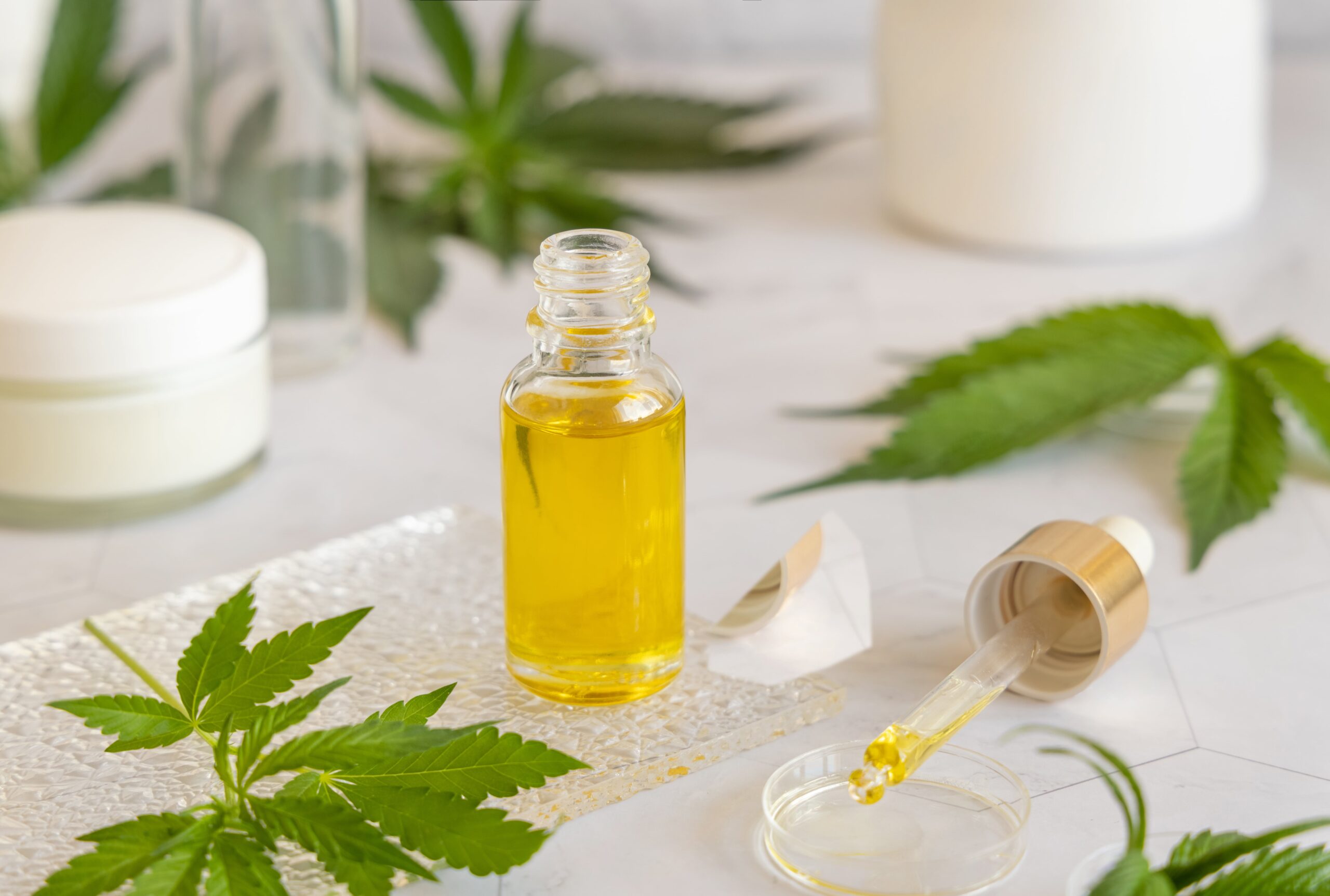 Understanding CBD vs THC: What You Need to Know