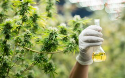 CBD Dosage Calculations: Finding Your Right Amount