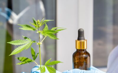 CBD gummies for energy: Natural boost without crashes