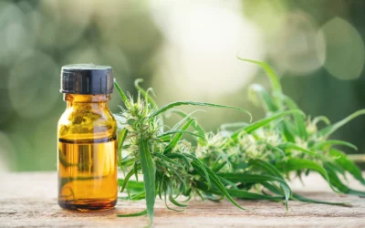 How Many CBD Gummies Should I Take to Relax?
