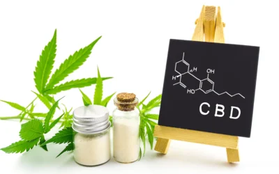 Identifying the Best CBD Oil for Your Wellness Needs