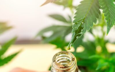 How to Sleep Better With CBD Gummies Naturally
