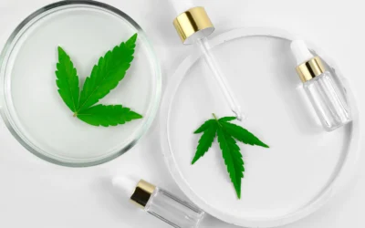 Hemp for Dogs: Natural Wellness Support for Your Pet