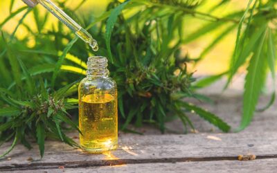 What Does CBD Do for You? Hemp Experts Explain