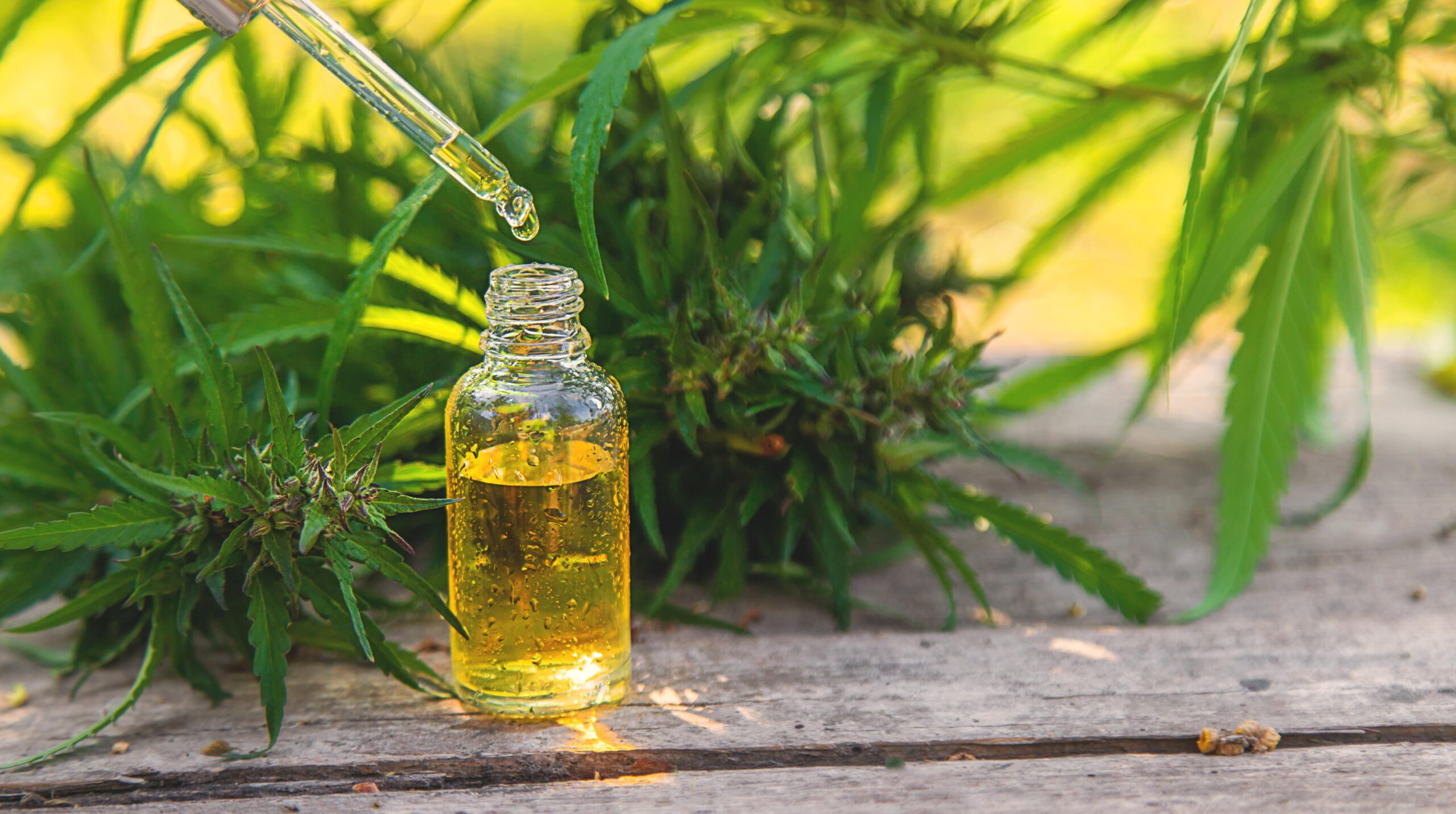 What Does CBD Do for You? Hemp Experts Explain