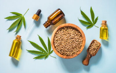 CBD Gummies Wholesale: Smart Business Buying Decisions