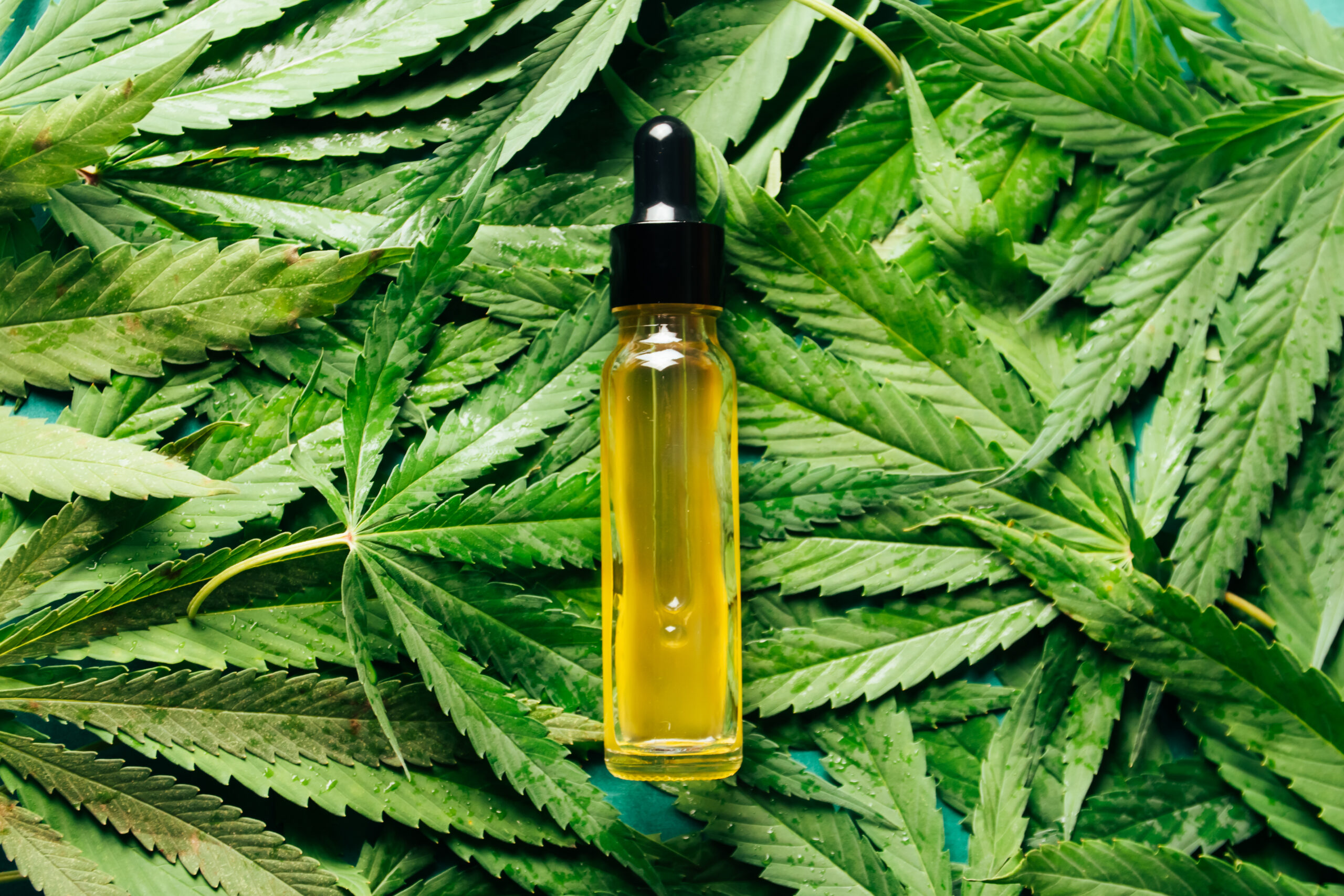 Broad Spectrum CBD for Sale: Your Complete Product Guide